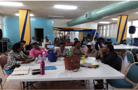 workshop in Jamaica