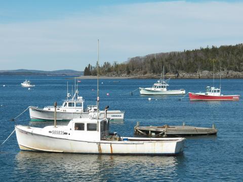 Maine lobster boats