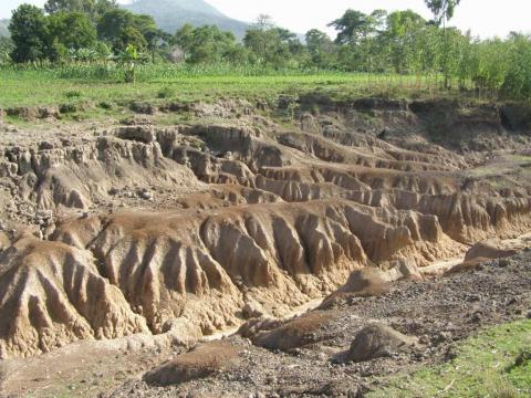 https://www.tes.com/lessons/iFjA_wExIISQ8Q/copy-of-how-do-we-stop-soil-erosion