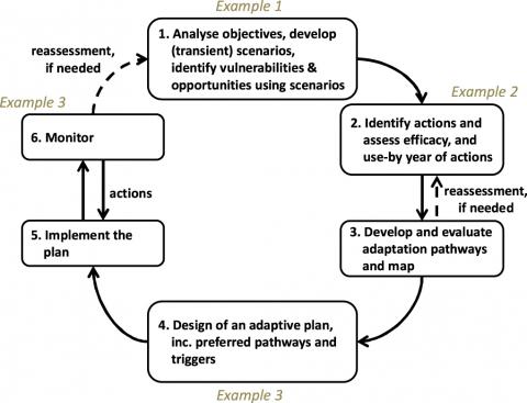 Different steps in a policy analysis approach for supporting climate adaptation (simplified from Haasnoot et al 2013) and the link with the three examples.