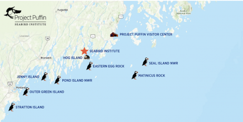 "Project Puffin" island locations off the Gulf of Maine (Audubon, 2022)