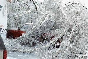 https://commons.wikimedia.org/wiki/File:FEMA_-_1007_-_Photograph_by_John_Ferguson_taken_on_01-25-1998_in_New_York.jpg